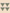Brazilian "KAKI" - Pack of 4