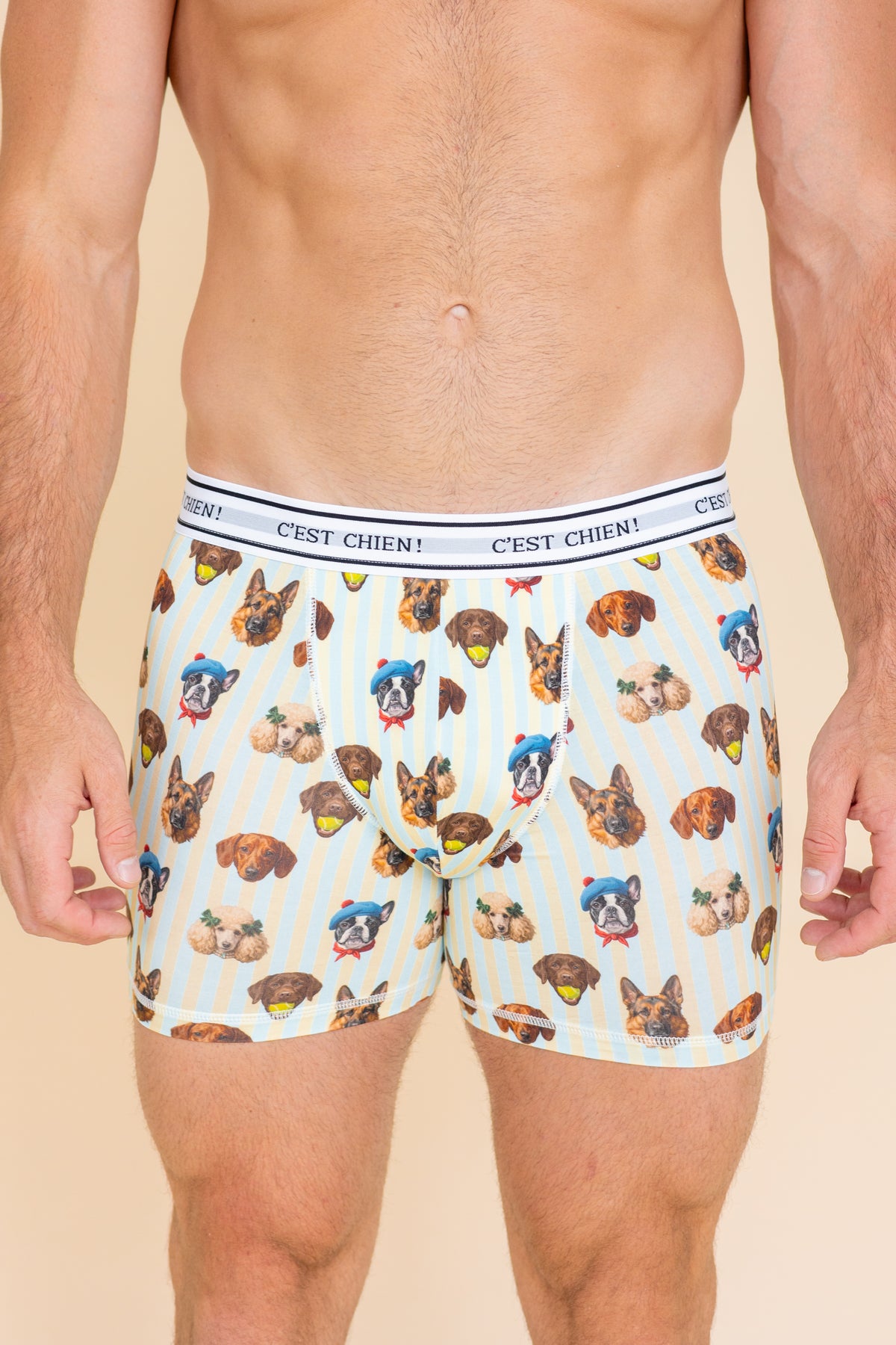 Long Boxer "C'EST CHIEN"