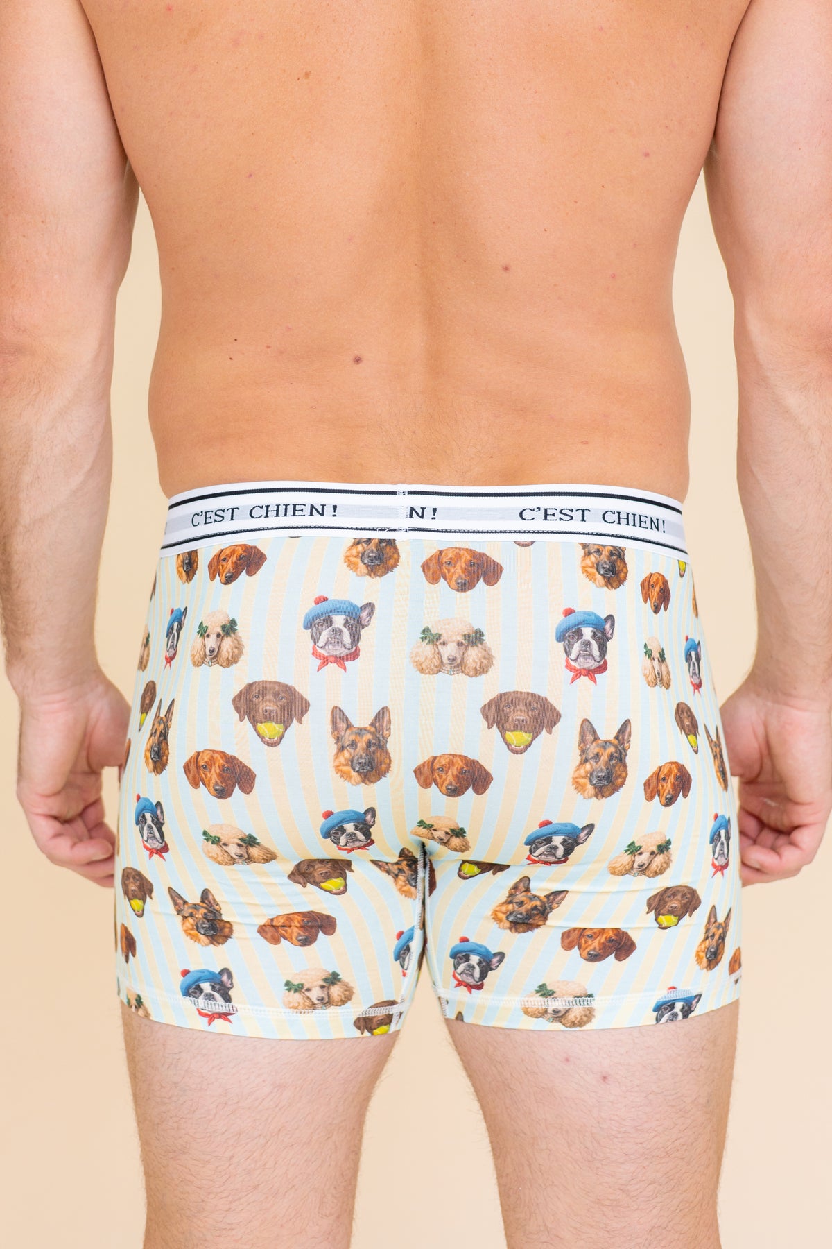 Long Boxer "C'EST CHIEN"
